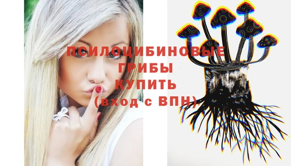 СК Корсаков