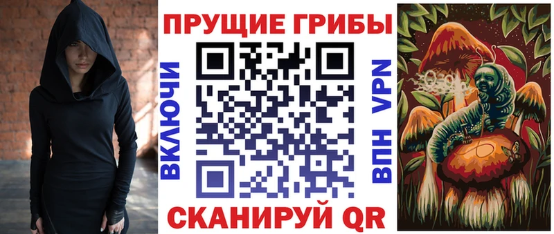 Купить  Теберда  Галлюциногенные грибы Psilocybine cubensis 